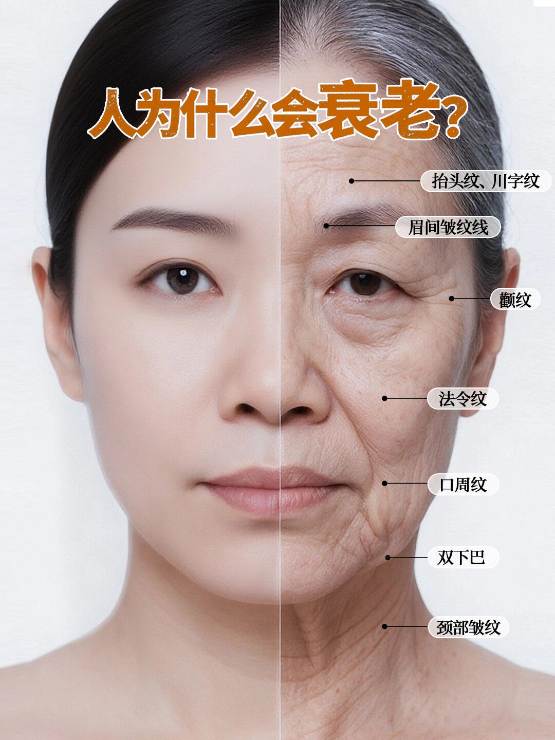 不同皮肤层面的衰老状态❗
